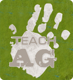 TEACH AG